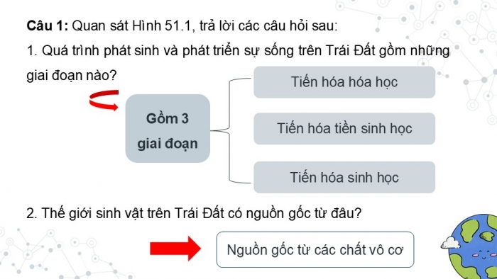 Giáo án điện tử KHTN 9 kết nối - Phân môn Sinh học Bài 51: Sự phát sinh và phát triển sự sống trên Trái Đất