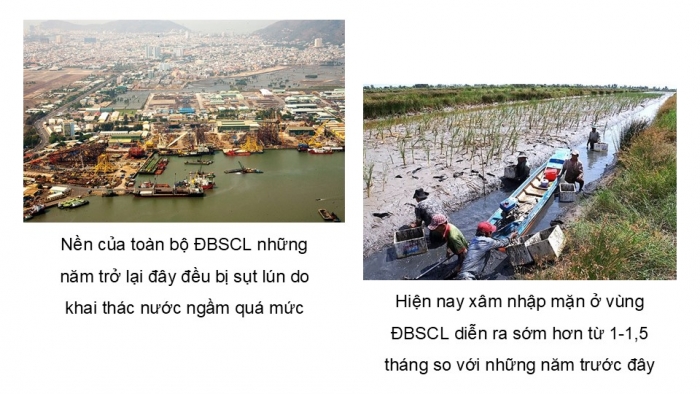 Giáo án điện tử Địa lí 9 kết nối Bài 21: Thực hành Tìm hiểu về tác động của biến đổi khí hậu đối với Đồng bằng sông Cửu Long