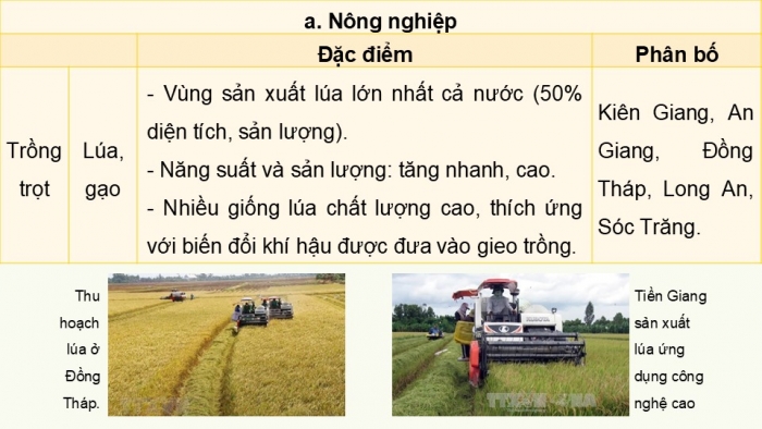 Giáo án điện tử Địa lí 9 kết nối Bài 20: Vùng Đồng bằng sông Cửu Long (P2)