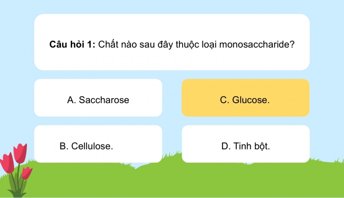 Giáo án điện tử KHTN 9 cánh diều - Phân môn Hoá học Bài tập (Chủ đề 9)