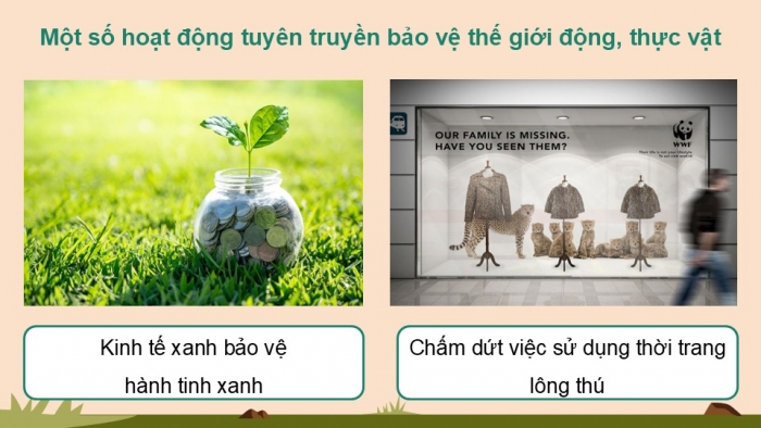 Giáo án điện tử Hoạt động trải nghiệm 12 kết nối Chủ đề 7 Tuần 3