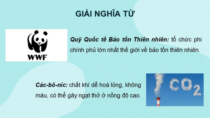 Giáo án điện tử Tiếng Việt 5 kết nối Bài 28: Giờ Trái Đất