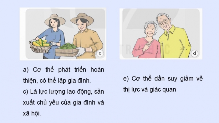 Giáo án điện tử Khoa học 5 kết nối Bài 27: Ôn tập chủ đề Con người và sức khỏe