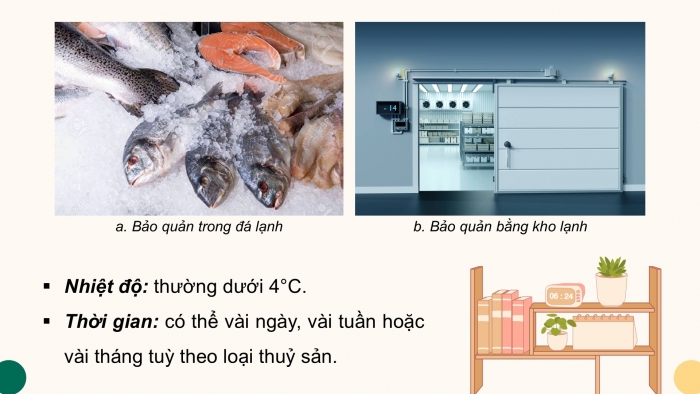 Giáo án điện tử Công nghệ 12 Lâm nghiệp - Thủy sản Kết nối Bài 22: Bảo quản và chế biến sản phẩm thủy sản