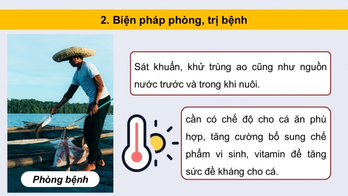 Giáo án điện tử Công nghệ 12 Lâm nghiệp - Thủy sản Kết nối Bài 24: Một số bệnh thủy sản phổ biến và biện pháp phòng, trị