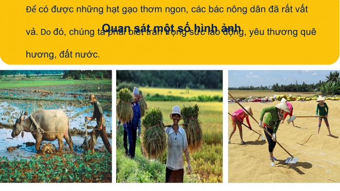 Giáo án PPT Âm nhạc 2 chân trời Tiết 1: Câu chuyện âm nhạc, Hát Ngày mùa vui (Lời 1)