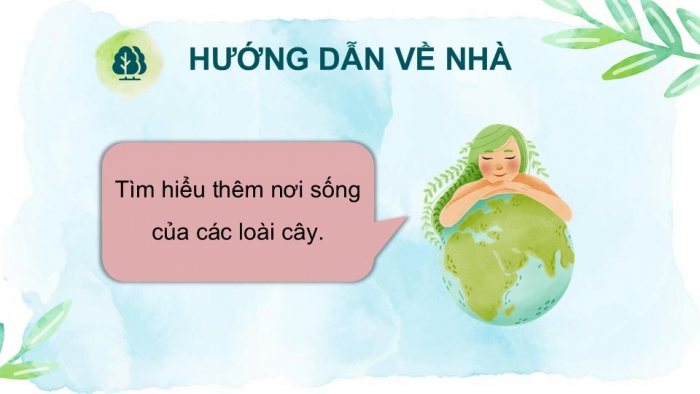 Giáo án PPT Tự nhiên và Xã hội 2 chân trời Bài 14: Thực vật sống ở đâu?