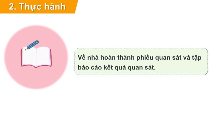 Giáo án PPT Tự nhiên và Xã hội 2 chân trời Bài 17: Thực hành tìm hiểu môi trường sống của thực vật và động vật