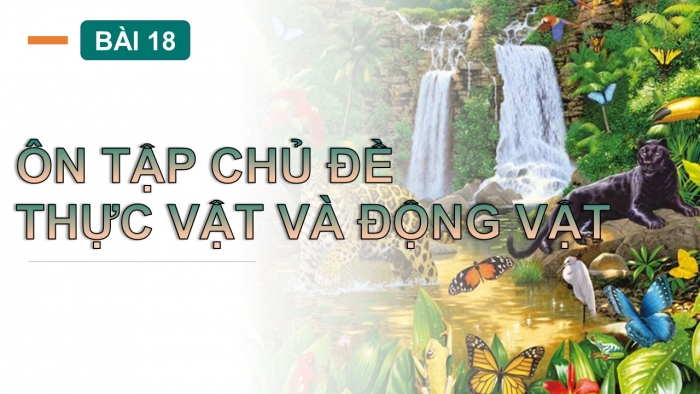 Giáo án PPT Tự nhiên và Xã hội 2 chân trời Bài 18: Ôn tập chủ đề Thực vật và động vật