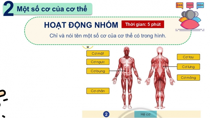 Giáo án PPT Tự nhiên và Xã hội 2 chân trời Bài 19: Cơ quan vận động