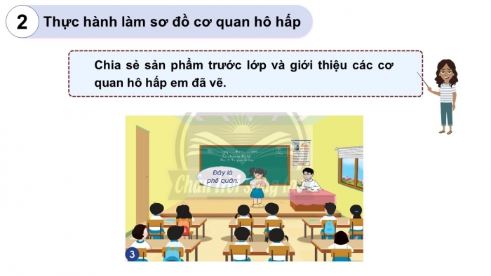 Giáo án PPT Tự nhiên và Xã hội 2 chân trời Bài 21: Cơ quan hô hấp