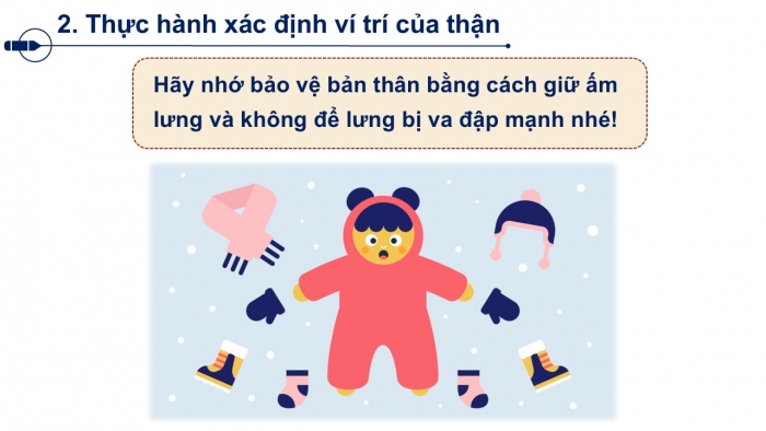 Giáo án PPT Tự nhiên và Xã hội 2 chân trời Bài 23: Cơ quan bài tiết nước tiểu