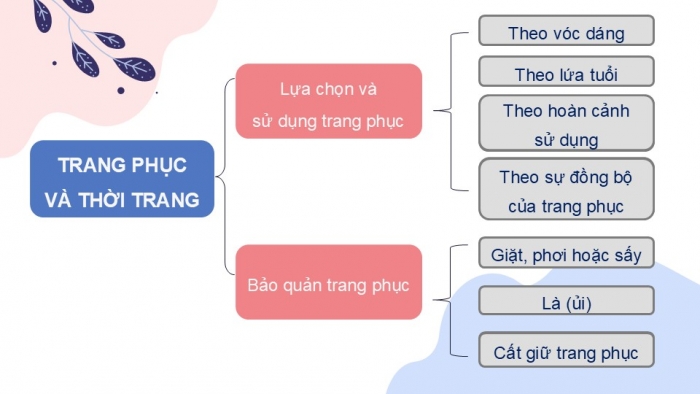 Giáo án PPT Công nghệ 6 cánh diều Ôn tập chủ đề 3