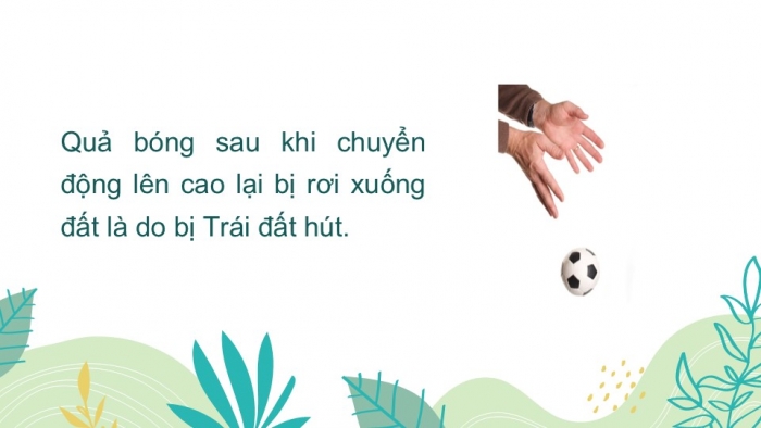 Giáo án PPT KHTN 6 cánh diều Bài 29: Lực hấp dẫn