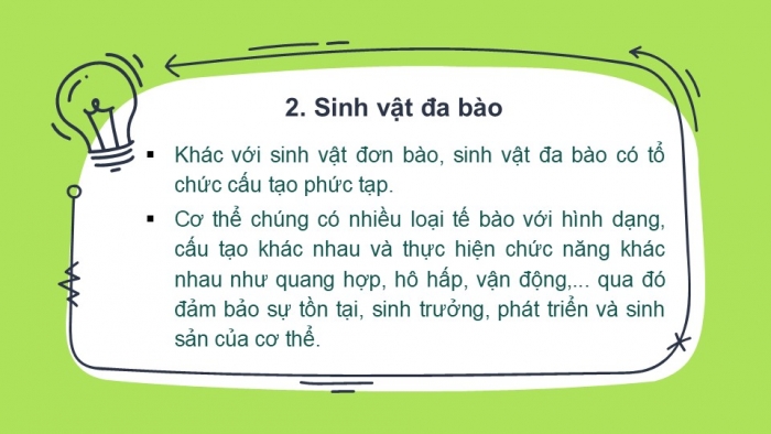 Giáo án PPT KHTN 6 cánh diều Bài 13: Từ tế bào đến cơ thể