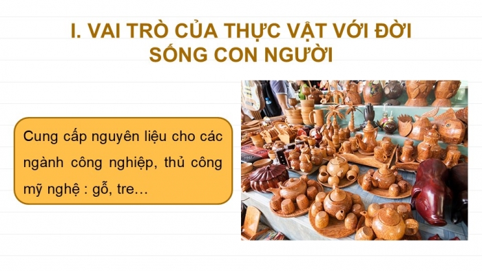 Giáo án PPT KHTN 6 cánh diều Bài 20: Vai trò của thực vật trong đời sống và trong tự nhiên