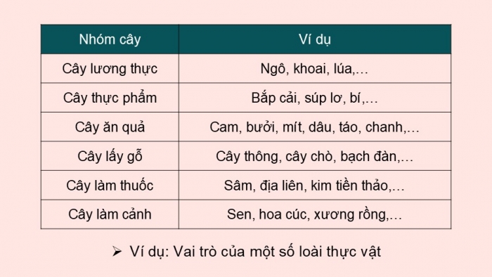 Giáo án PPT KHTN 6 cánh diều Bài 21: Thực hành phân chia các nhóm thực vật