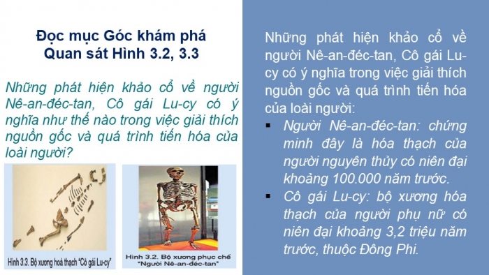 Giáo án PPT Lịch sử 6 cánh diều Bài 3: Nguồn gốc loài người