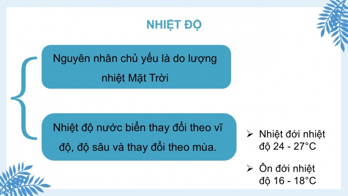 Giáo án PPT Địa lí 6 kết nối Bài 21: Biển và đại dương