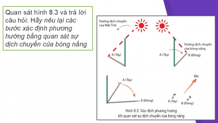 Giáo án PPT Địa lí 6 cánh diều Bài 8: Xác định phương hướng ngoài thực địa