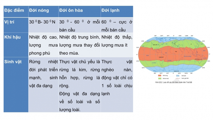 Giáo án PPT Địa lí 6 cánh diều Bài 22: Sự đa dạng của thế giới sinh vật. Các đới thiên nhiên trên Trái Đất. Rừng nhiệt đới