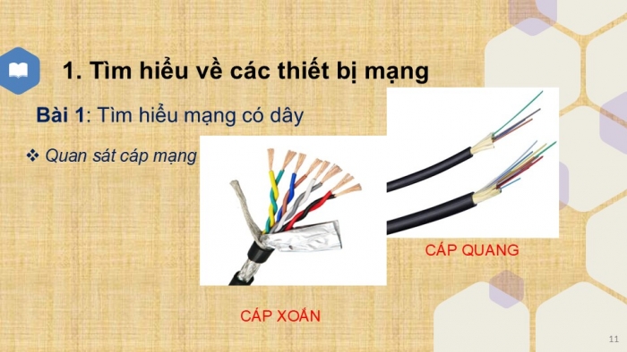 Giáo án PPT Tin học 6 cánh diều Bài 4: Thực hành về mạng máy tính