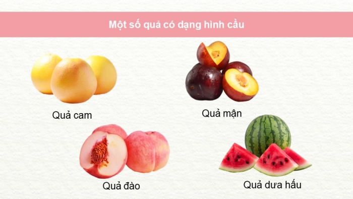 Giáo án PPT Mĩ thuật 6 cánh diều Bài 8: Vẽ mẫu có dạng khối cầu