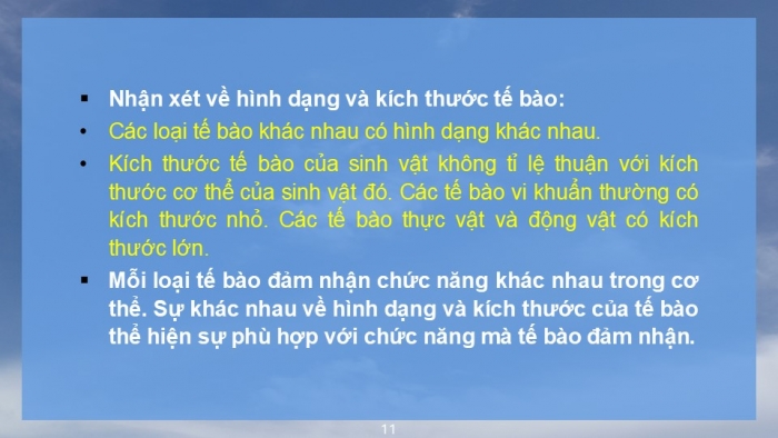 Giáo án PPT KHTN 6 chân trời Bài 17: Tế bào