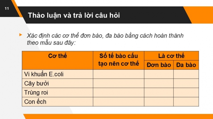 Giáo án PPT KHTN 6 chân trời Bài 19: Cơ thể đơn bào và cơ thể đa bào