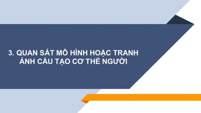 Giáo án PPT KHTN 6 chân trời Bài 21: Thực hành quan sát sinh vật