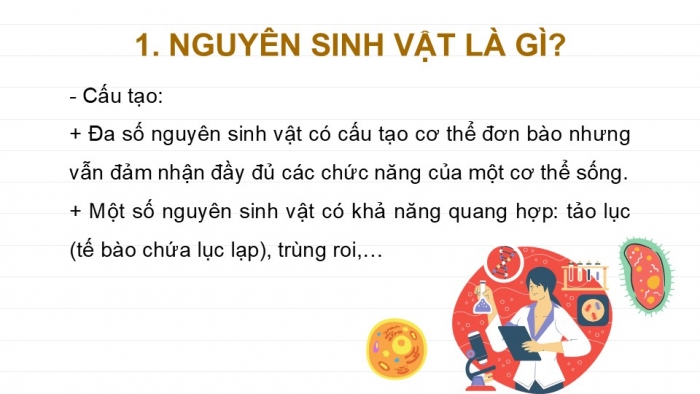 Giáo án PPT KHTN 6 chân trời Bài 27: Nguyên sinh vật