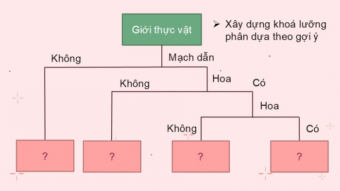 Giáo án PPT KHTN 6 chân trời Bài 29: Thực vật