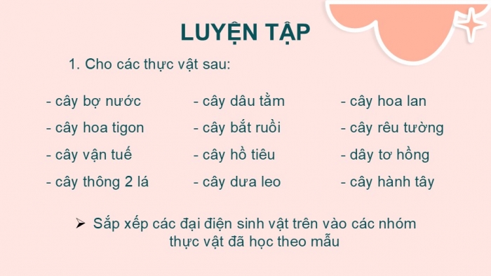 Giáo án PPT KHTN 6 chân trời Bài 30: Thực hành phân loại thực vật