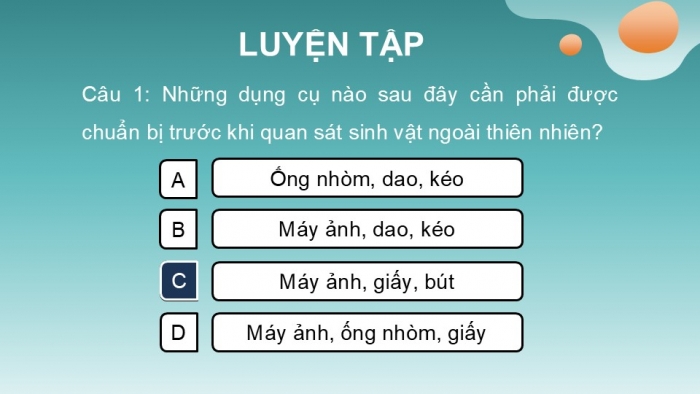 Giáo án PPT KHTN 6 chân trời Bài 32: Thực hành quan sát và phân loại động vật ngoài thiên nhiên