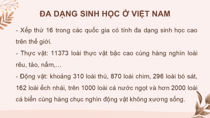 Giáo án PPT KHTN 6 chân trời Bài 33: Đa dạng sinh học