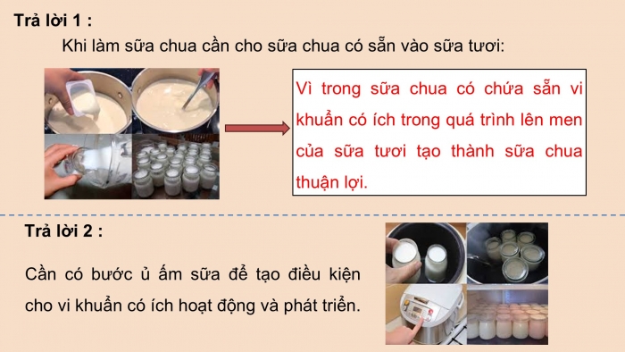 Giáo án điện tử Khoa học 5 cánh diều Bài 13: Vi khuẩn có ích trong chế biến thực phẩm