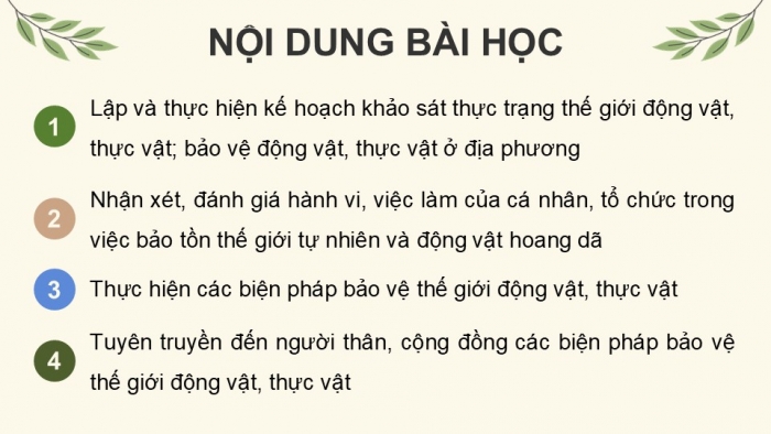 Giáo án điện tử Hoạt động trải nghiệm 12 chân trời bản 2 Chủ đề 6: Bảo tồn động vật, thực vật và cảnh quan thiên nhiên (P1)