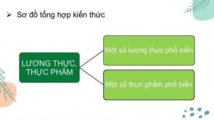 Giáo án PPT KHTN 6 chân trời Ôn tập Chủ đề 4