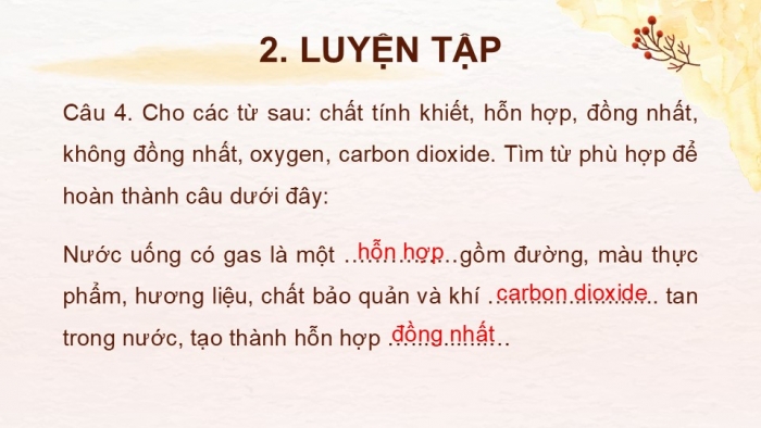 Giáo án PPT KHTN 6 chân trời Ôn tập Chủ đề 5