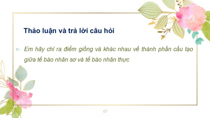 Giáo án PPT KHTN 6 kết nối Bài 19: Cấu tạo và chức năng các thành phần của tế bào