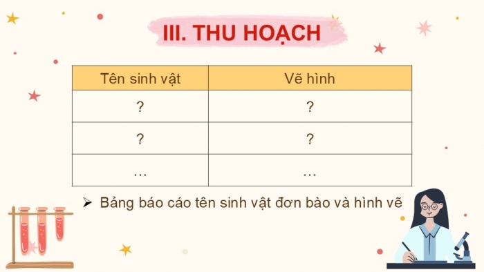 Giáo án PPT KHTN 6 kết nối Bài 24 Thực hành: Quan sát và mô tả cơ thể đơn bào, cơ thể đa bào