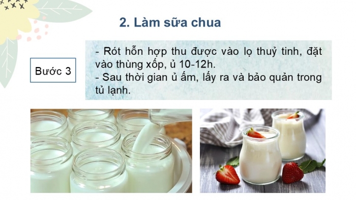 Giáo án PPT KHTN 6 kết nối Bài 28 Thực hành: Làm sữa chua và quan sát vi khuẩn