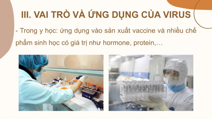 Giáo án PPT KHTN 6 kết nối Bài 29: Virus