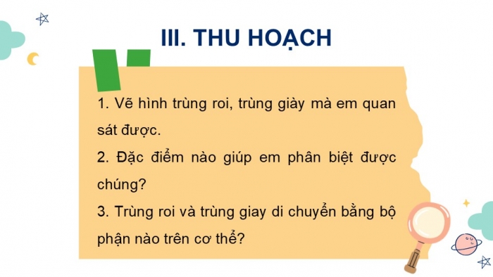 Giáo án PPT KHTN 6 kết nối Bài 31 Thực hành: Quan sát nguyên sinh vật