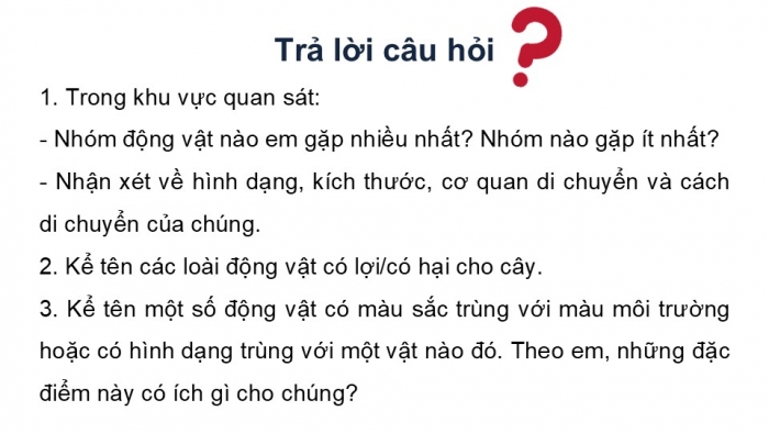 Giáo án PPT KHTN 6 kết nối Bài 37 Thực hành: Quan sát và nhận biết một số nhóm động vật ngoài thiên nhiên