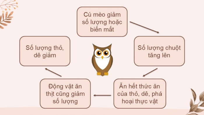 Giáo án PPT KHTN 6 kết nối Bài 38: Đa dạng sinh học