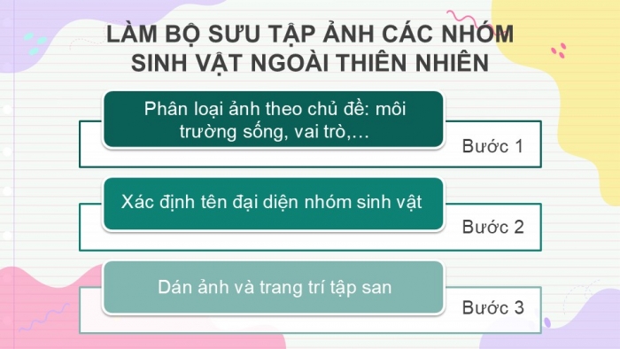 Giáo án PPT KHTN 6 kết nối Bài 39: Tìm hiểu sinh vật ngoài thiên nhiên