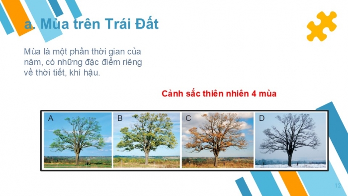 Giáo án PPT Địa lí 6 chân trời Bài 7: Chuyển động quanh Mặt Trời của Trái Đất và hệ quả