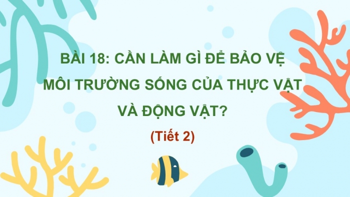 Giáo án PPT Tự nhiên và Xã hội 2 kết nối Bài 18: Cần làm gì để bảo vệ môi trường sống của thực vật và động vật?