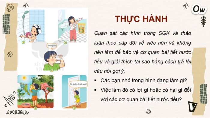 Giáo án PPT Tự nhiên và Xã hội 2 kết nối Bài 26: Chăm sóc, bảo vệ cơ quan bài tiết nước tiểu